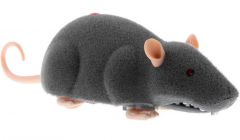 RC krysa